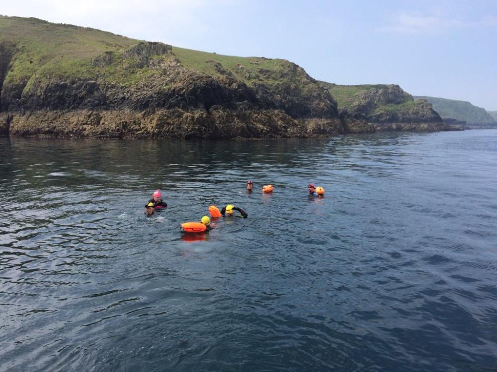 Sea swimming safari tours in Pembrokeshire