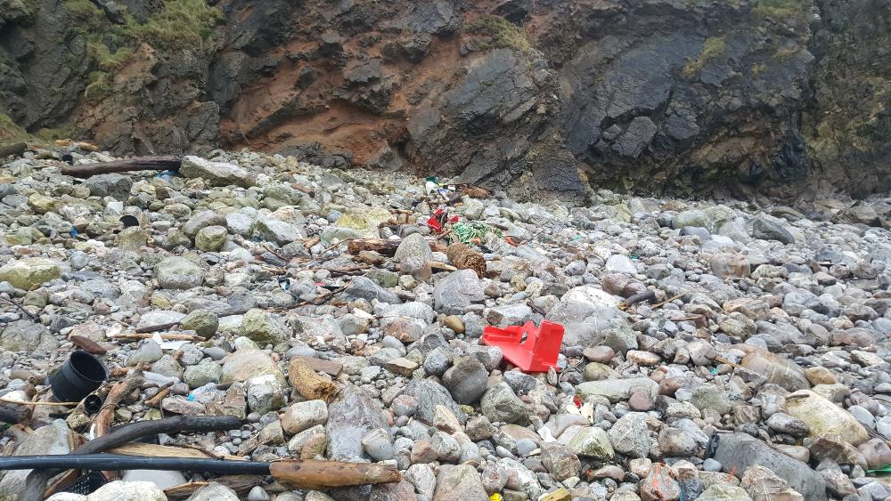 Beach Clean at Bullslaughter Bay