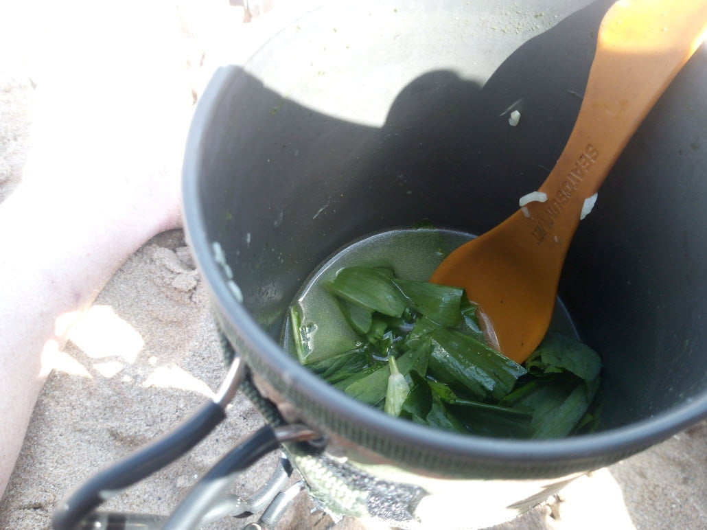 Foraging for food during a swim hike