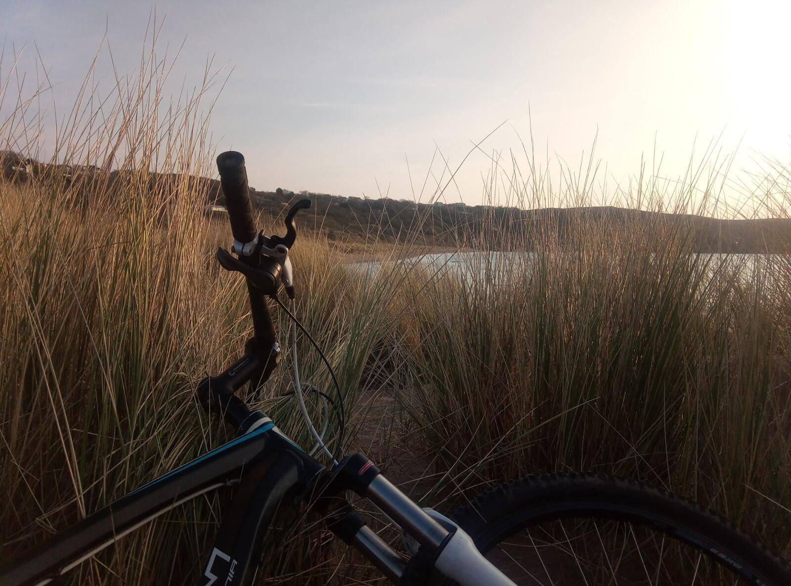 Swimming and biking tours in Pembrokeshire