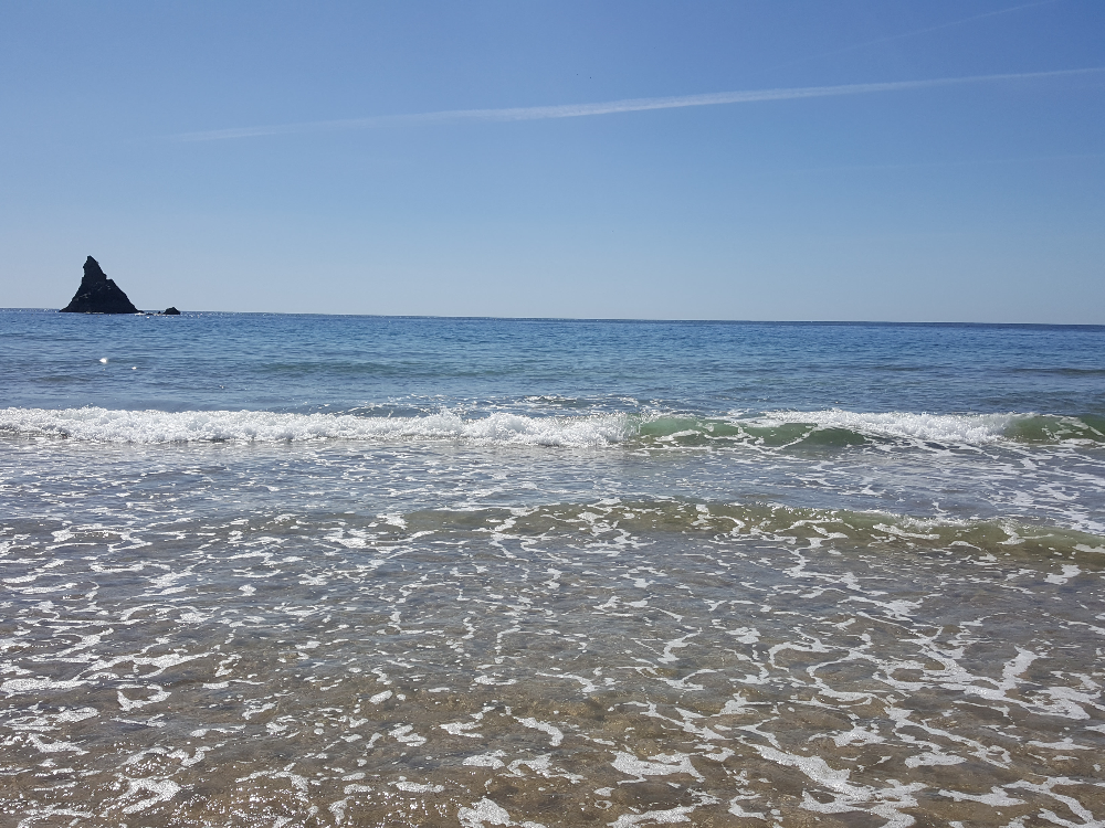 Perfect open water swimming in Pembrokeshire