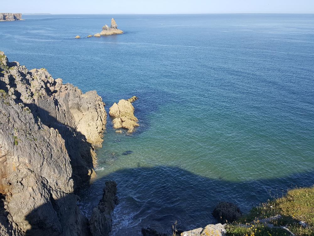 Open water swimming in Pembrokeshire Wales offers clear waters and lots to see
