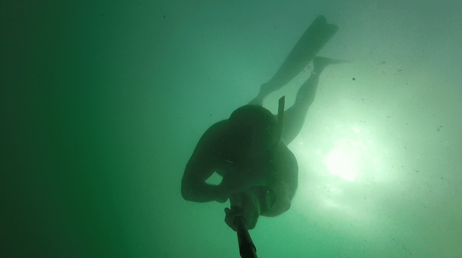 Freediving in Pembrokeshire Wales