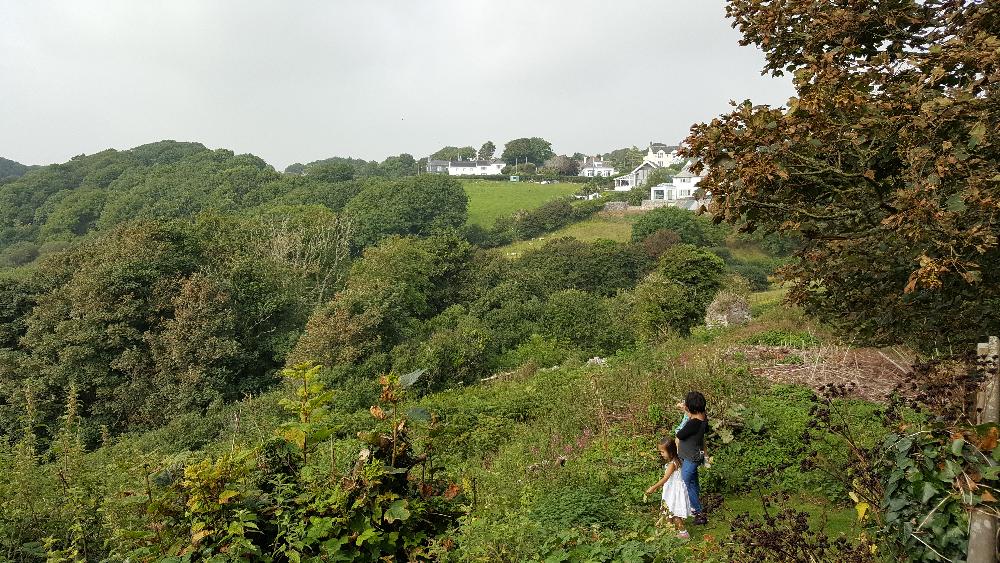 Manorbier is a beautiful village and sea swimming location UK