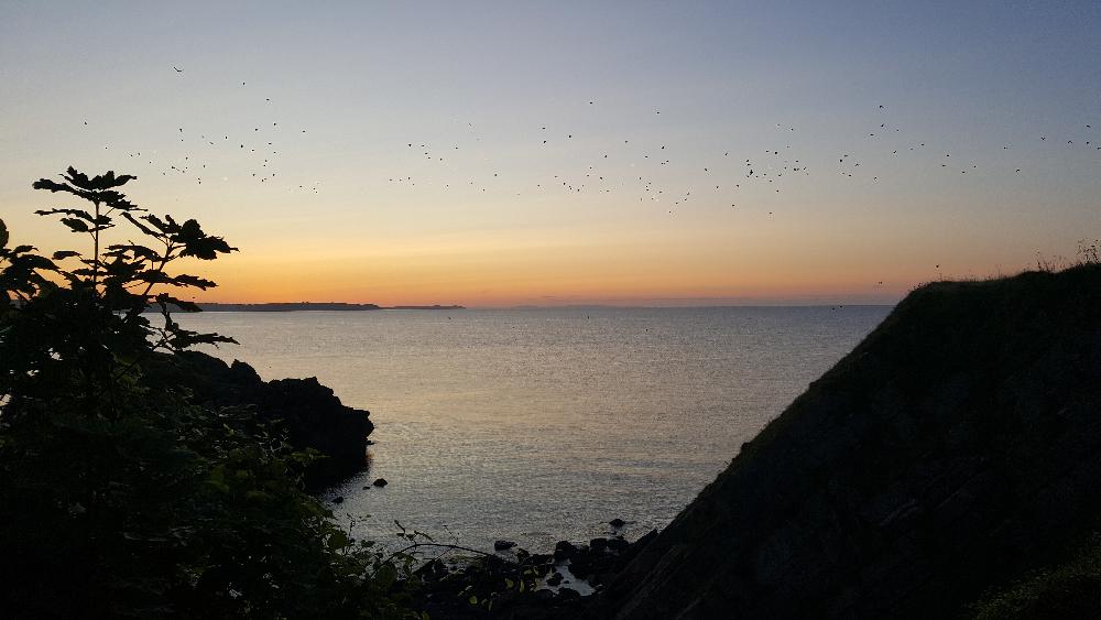 Swim and walk around the Pembrokeshire coastal path