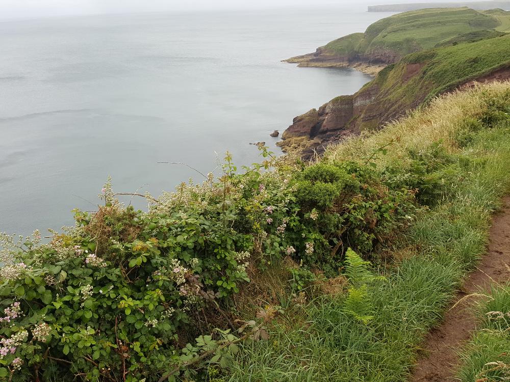 Swim running in Pembrokeshire Wales