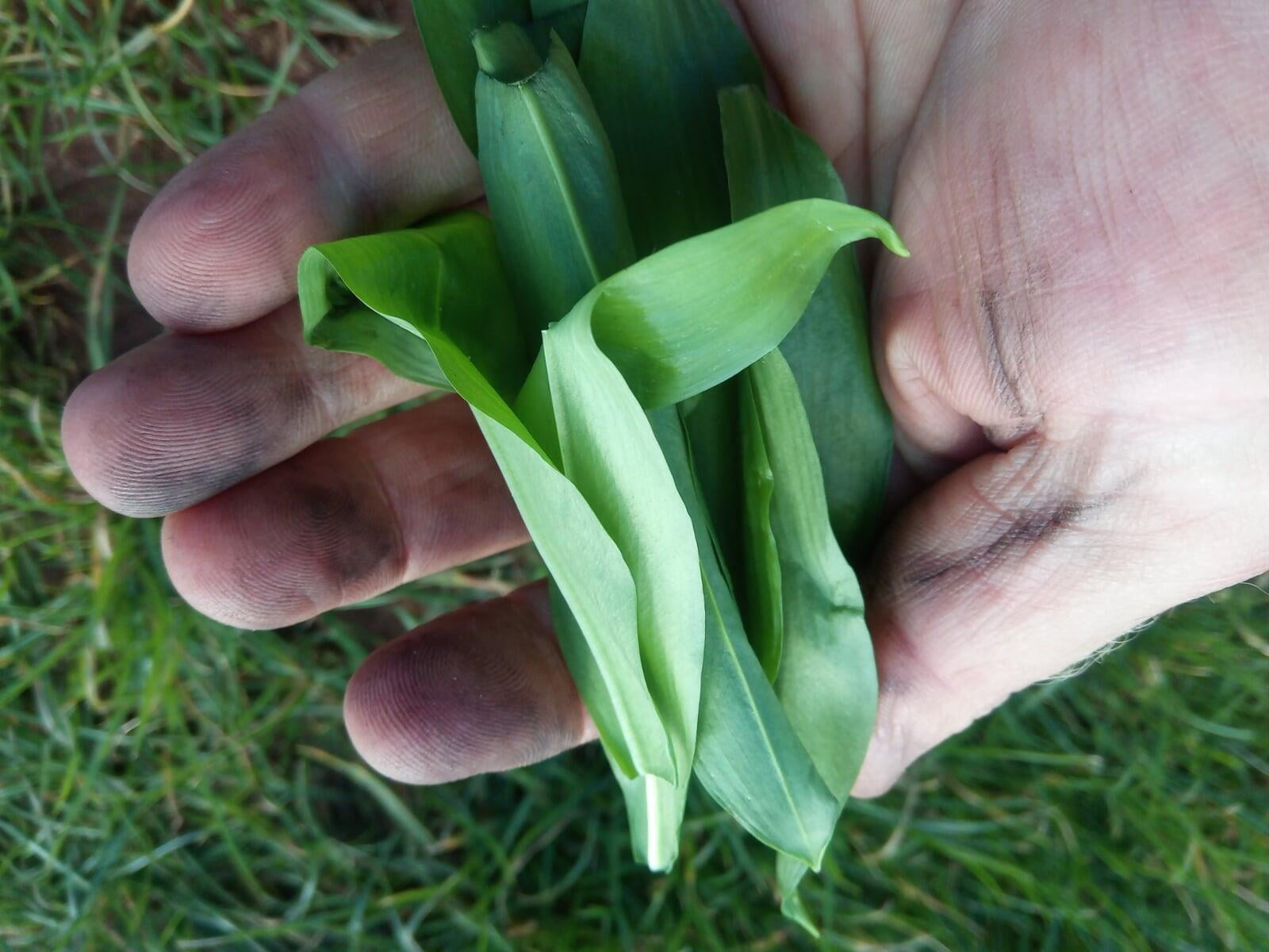 Foraging on a swim hike