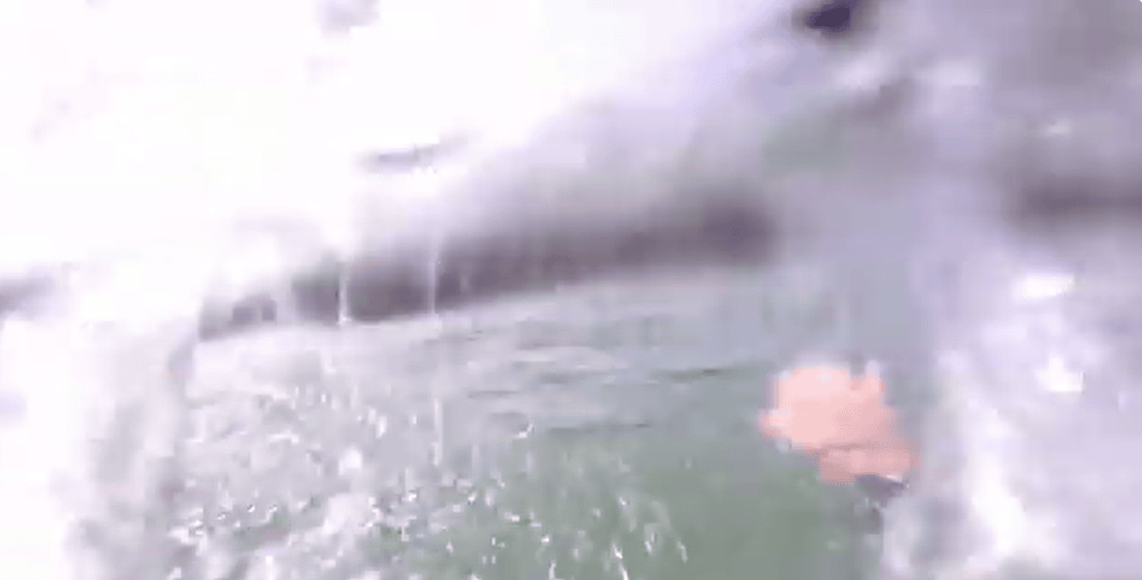 Open water sighting techniques