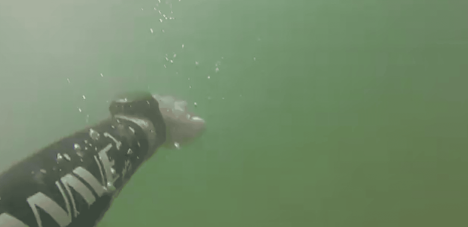 How to do sighting when open water swimming