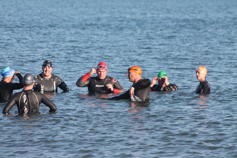 sea swimming clubs