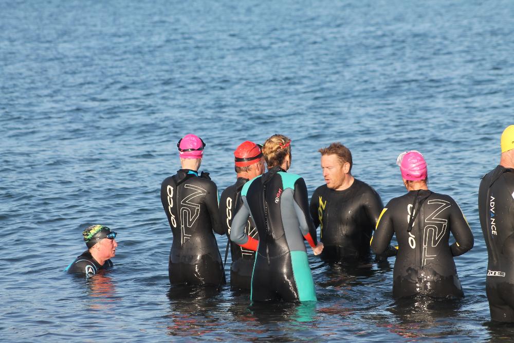 sea swimming clubs